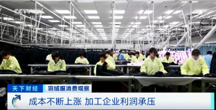 羽絨服輪番漲價 中高端產(chǎn)品還賣得更火了？